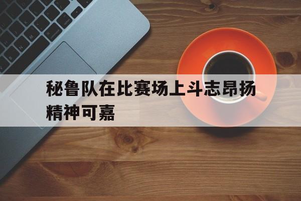 开云app-秘鲁队在比赛场上斗志昂扬精神可嘉