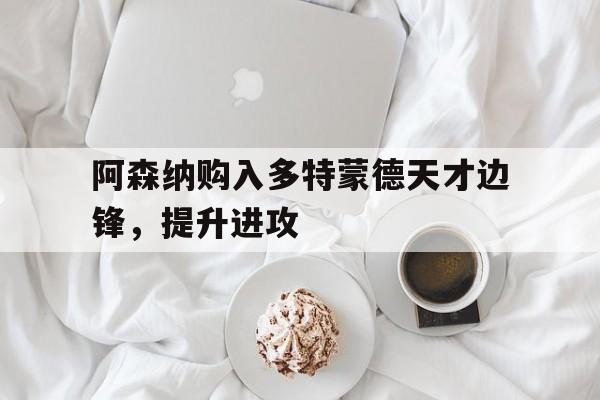 开云app-阿森纳购入多特蒙德天才边锋，提升进攻